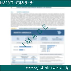 グローバルリサーチ調査レポートのイメージ